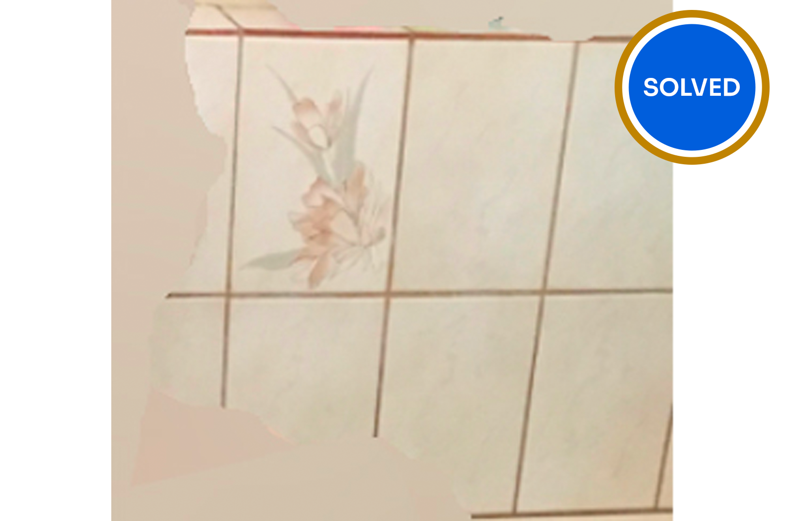 Bathroom tiles with one flower feature tile with solved banner