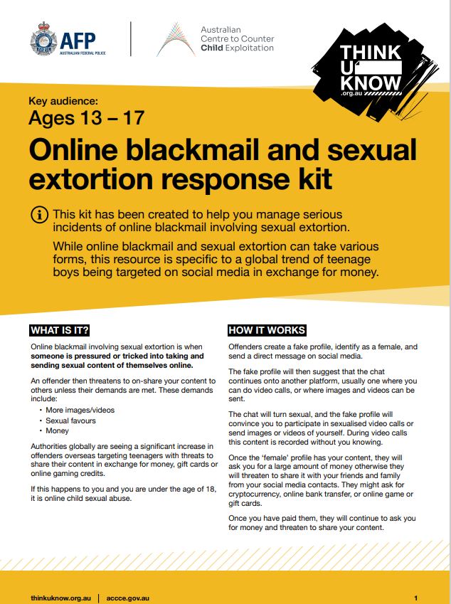 Screenshot of online blackmail sexual extortion kit